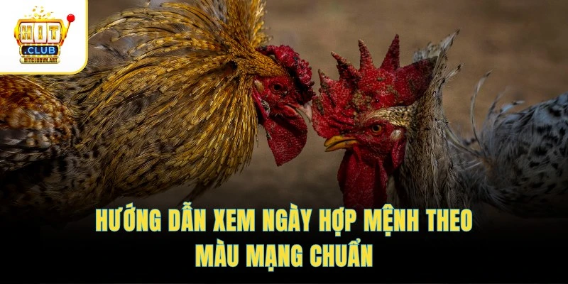 Hướng dẫn xem ngày hợp mệnh theo màu mạng chuẩn