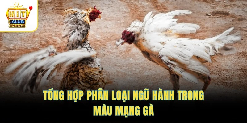 Tổng hợp phân loại ngũ hành trong màu mạng gà